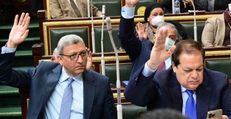 الصورة: أعضاء البرلمان المصري. خالد مشغل ©