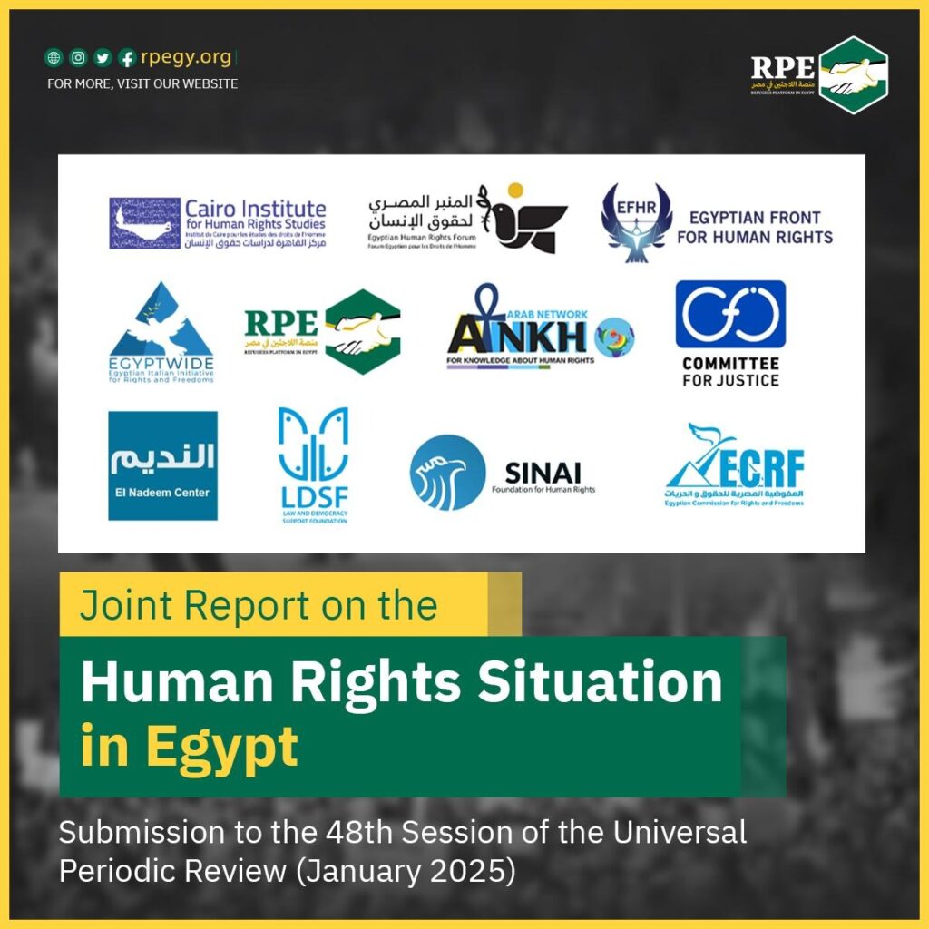 Joint Report on the Human Rights Situation in Egypt